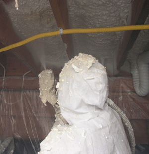 Chesapeake MD crawl space insulation